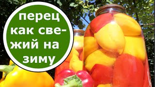 ПЕРЕЦ Для ФАРШИРОВАНИЯ на Зиму БЕЗ СТЕРИЛИЗАЦИИ БЕЗ УКСУСА!!! Супер рецепт!!!