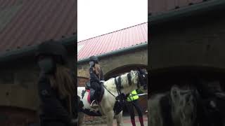 Robyn filming Kat and Amelia horse ride