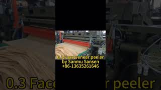 11ft wood veneer machine//mesin kayu lapis mesin //लाईवुड मशीन  plywood machine