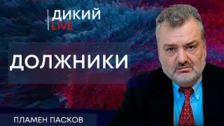 Мухи на дерьмо, пчелы на цветы. Пламен Пасков. Дикий LIVE.