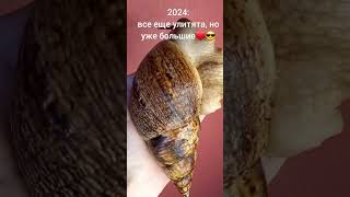 2023 vs 2024😱 выросли😎❤👏🐌