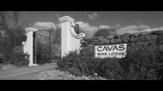 A boutique wine experience in Mendoza