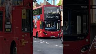 Buses “CUTE DEPRESSED”