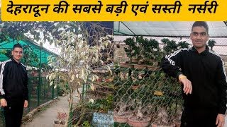 आज हम लोगो ने की खरीददारी dehradun ki sabse Badi nursery mai llphadi सांस्कृतिक गढ़वाली Vlog ll