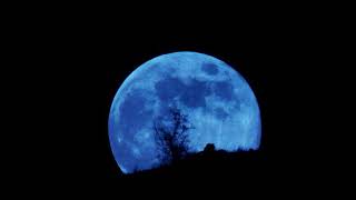 Voice.club - Fiction - Blue Moon - by Julie Harris