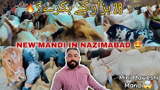 20 hazar ke bakre 🤯 | Mini mandi in Nazimabad🥰🐮 | Favourite Faizan Vlog