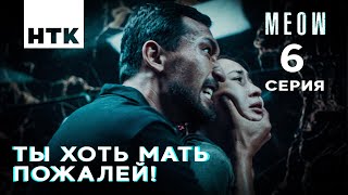 Умоляю, спаси меня! | MEOW - 6 серия [4K]