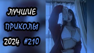 Robo Coub | Лучшие Приколы Февраль 2024 | Best Coub | Best Cube | Game Coub | Tik Tok