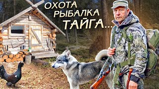 Один в Тайге. Охота с лайкой, Рыбалка, Жизнь в лесу.