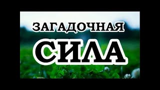 Роберт Адамс — 107 Что же мы делаем со своей жизнью