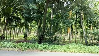 #landforsaleinmettupalayam #landforsaleincovai #farmlandforsale whatsApp 8072660564