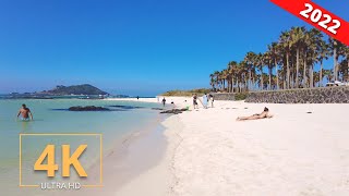 Jeju Island 🇰🇷 South Korea | Walking Tour | Beach | Waterfall | City | Walk | 4K | Seogwipo | 2022