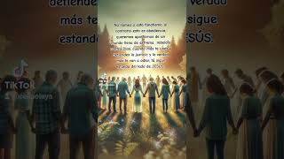 dichosos son los que han puesto su mirada en Jesús. #reflexiondeldia #reflexionescristianas #fe