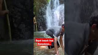 #shortvideo #shorts #mancing #mencariikan #sungai #caratradisional #jalaikan #mahseerfish #hampala