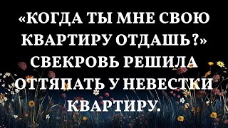 «Когда ты мне свою квартиру отдашь?» Свекровь решила оттяпать у невестки квартиру.