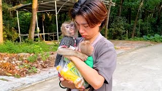 Monkeys Kaka and Mit go crazy when mom lets them climb mountains