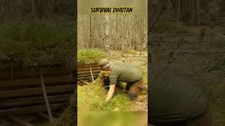 Ruang bawah tanah dihutan untuk bersembunyi #dihutan  #survival #outdoor