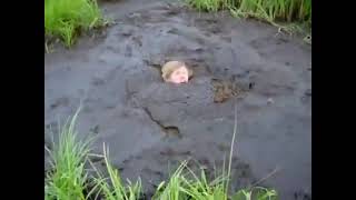 Man sinking Quicksand Coffin Dance