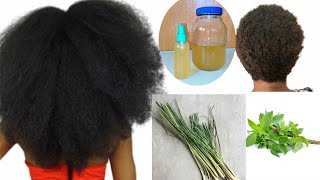 Am STILL SHOCKED!!! I tried this on my Natural Hair | Lemongrass and Basil Leaves