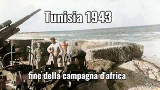 Tunisia 1943 la fine della campagna del Nord Africa