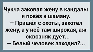 Как Чукча Жену в Кандалы Заковал! Сборник Свежих Анекдотов! Юмор!