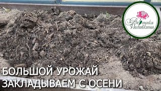 Как правильно подготовить грядку осенью: пошаговое руководство