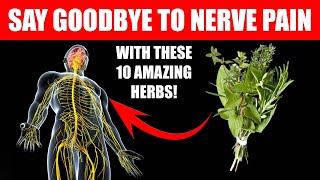 Say Goodbye to Nerve Pain with These 10 Amazing Herbs! #fitness #Health