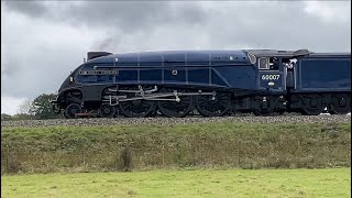 LNER Class A4 Pacific No 60007 Sir Nigel Gresley at The Giants of Steam Gala at Bluebell - 12/10/24