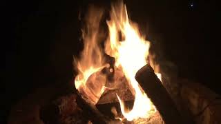 Cool fire skull in my fireplace