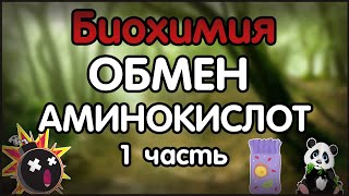 Биохимия. Лекция 39. Обмен аминокислот. 1 часть