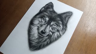 how to draw a wolf with charcoal 🙂| charcoal drawing of a wolf😇