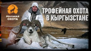 ТРОФЕЙНАЯ ОХОТА В КЫРГЫЗСТАНЕ | ОХОТА НА СНЕЖНОГО БАРАНА | РЕАЛЬНАЯ ОХОТА