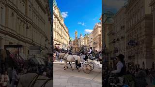 Centuries old traditions still alive. Fiaker Vienna #horse #vlog #vienna #shorts