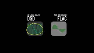 ⏪️⏯️⏩️ DSD vs FLAC Audio Format