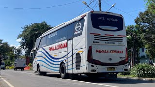 EDISI HUNTING BUS MALANG - SURABAYA DIBUANG SAYANG :v