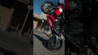 Basic wheelie/ nasty shot !