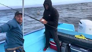 @ReggieWynn15 getting his first yellowfin on the troll at Cedros Island 2023