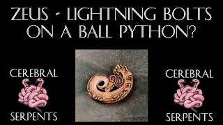 Zeus - Lightning Bolts On A Ball Python? - Stacking The Deck #22