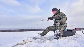 ВАННА ОМУЛЯ, ВЕДРО ИКРЫ! СУРОВЫЙ ПЕРВЫЙ ЛЁД 2023-24.