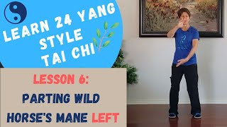 Yang Tai Chi Parting Wild Horse's Mane LEFT: Lesson 6; Learn 24 Yang Style Tai Chi #24Yang