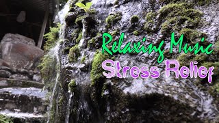 Peaceful Relaxing Music of stress Relief :  Sound of Mount Kinabalu waterfall | muzik Relaksasi