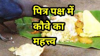 #Shorts#pitra paksh mein kauwa ka mahatva||पित्र पक्ष में कौवे का क्या महत्व है