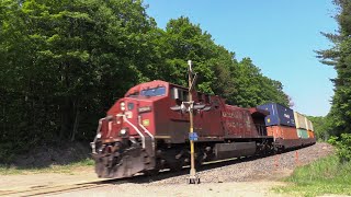 CP 8564 at Moonstone (03JUN2023)