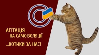 Коронавірус не завадить, коли ти справжній кандидат!