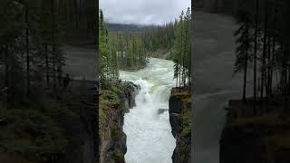 Sunwapta Falls, #waterfall Jasper National Park of Canada