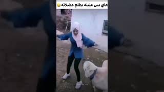 بدون عنوان 1