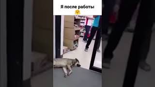 Только у меня так??? 😂❤️ понедельник