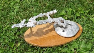 Casting Aluminum into an Anthill