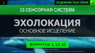 1.13.10 🎧 РАЗВИТИЕ ЭХОЛОКАЦИИ возможности мозга ГЛУБОКОЕ ИСЦЕЛЕНИЕ (резонансный саблиминал)