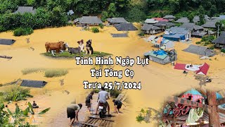 TÌNH HÌNH NGẬP LỤT TẠI TÔNG CỌ THUẬN CHÂU TRƯA 25/7/2024 CÀNG LÚC CÀNG NGHIÊM TRỌNG NHÀ SẮP ĐỔ HẾT